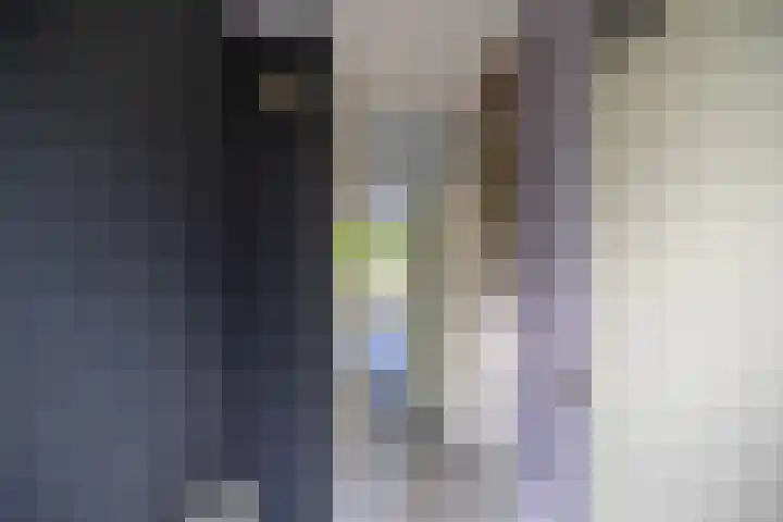 Schieland 61 Assen thumbnail 8