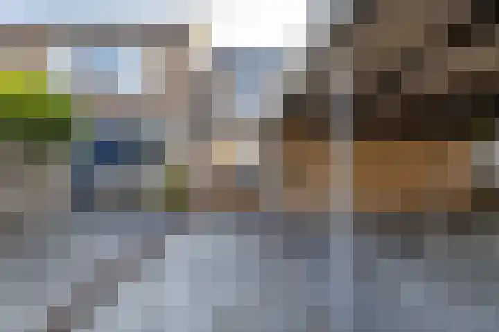 Schieland 89 Assen thumbnail 25