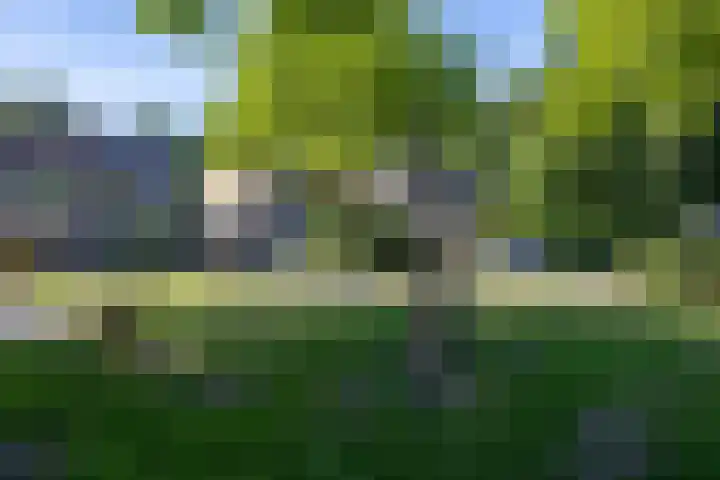 Schieland 89 Assen thumbnail 26