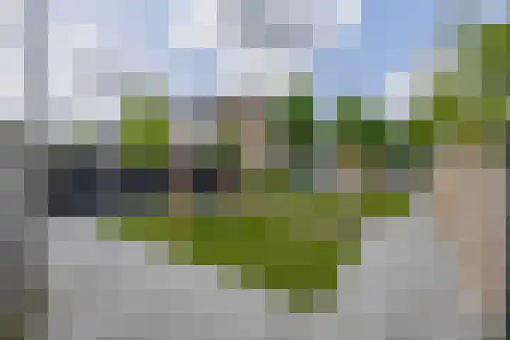 Schieland 9 Moerkapelle thumbnail 35
