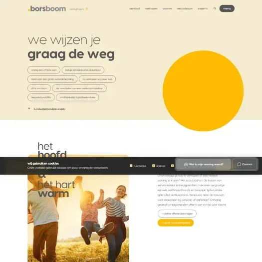 Screenshot van de website van www.schielandborsboom.nl
