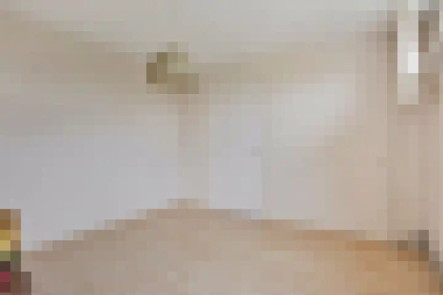 Schielandsingel 41 Zevenhuizen thumbnail 20