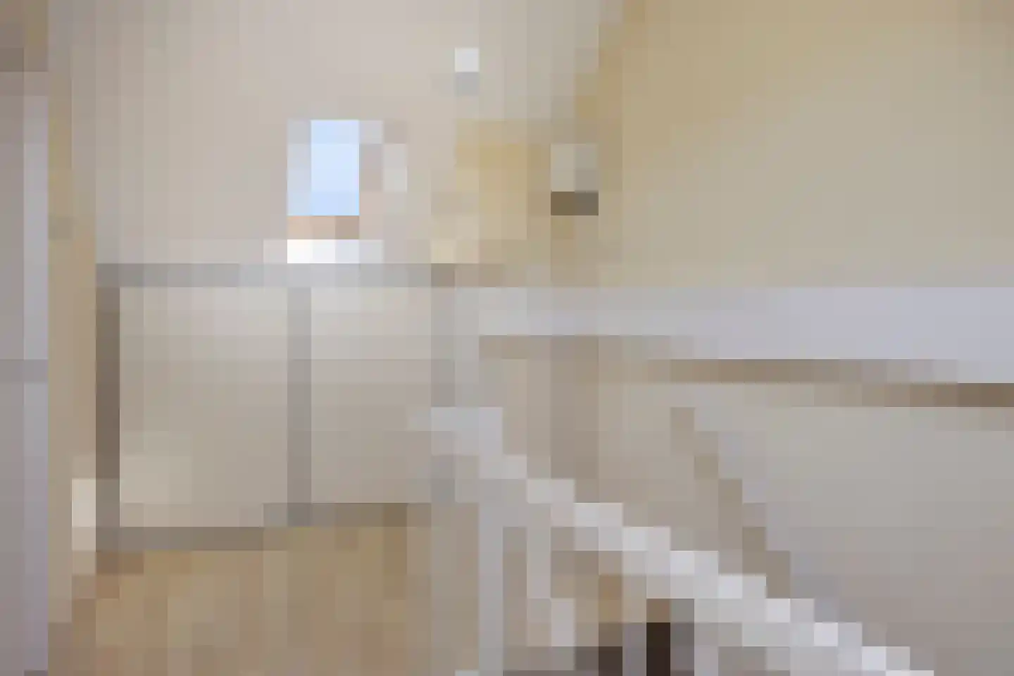 Schielandsingel 41 Zevenhuizen thumbnail 24