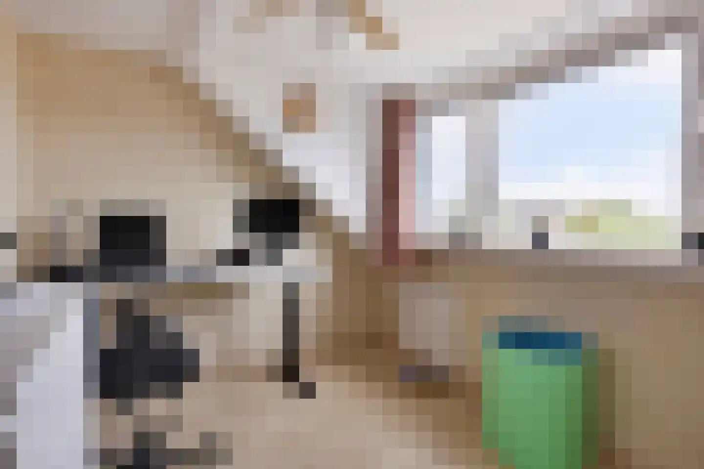 Schielandsingel 41 Zevenhuizen thumbnail 27