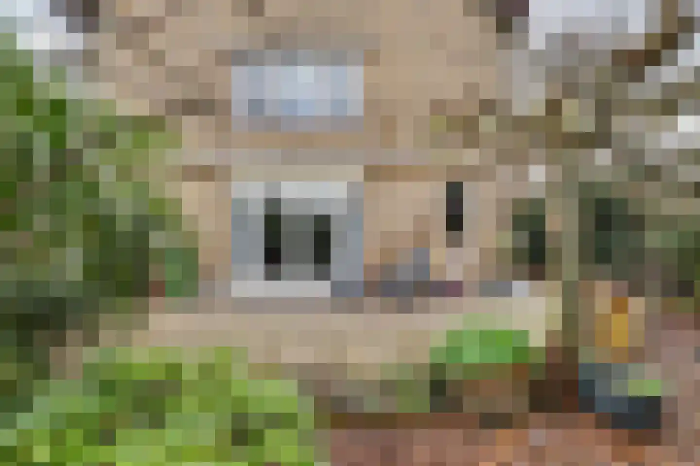 Schielandstraat 70 Moordrecht thumbnail 47