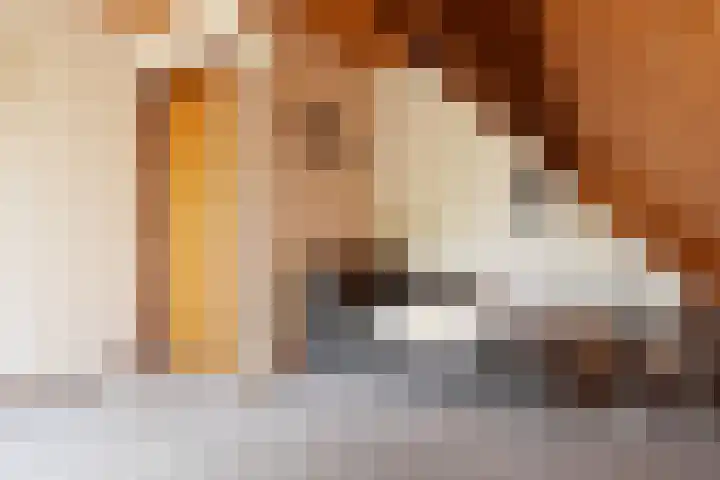 Schielandweg 14 Waddinxveen thumbnail 36