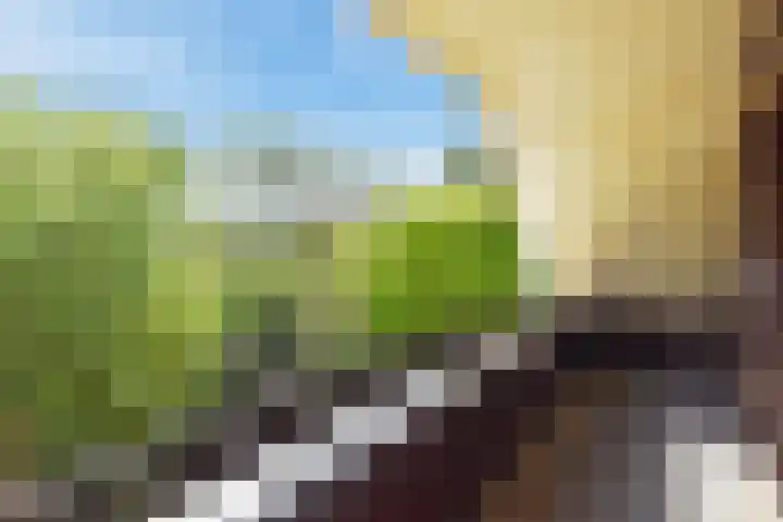 Schielandweg 14 Waddinxveen thumbnail 37