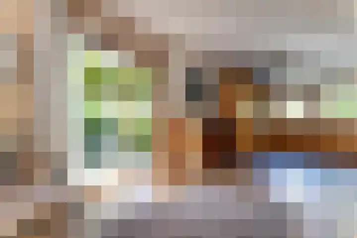 Schielandweg 14 Waddinxveen thumbnail 4