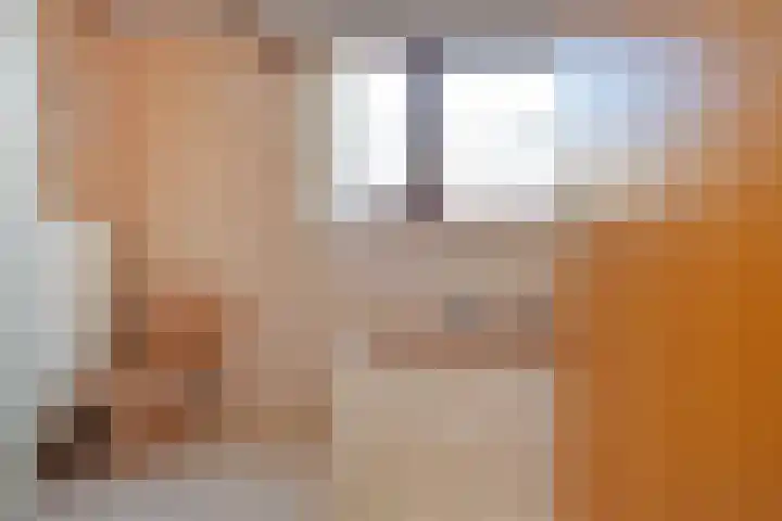 Schielandweg 14 Waddinxveen thumbnail 47