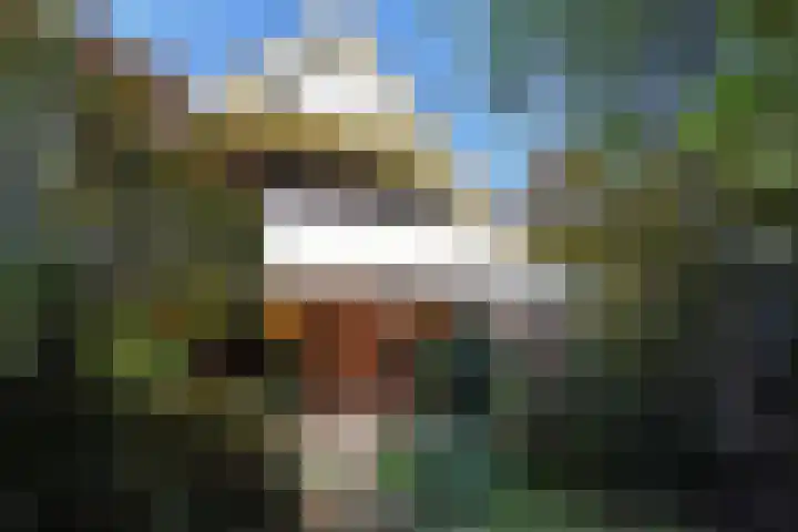 Schielandweg 14 Waddinxveen thumbnail 59