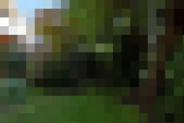 Schielandweg 14 Waddinxveen thumbnail 60
