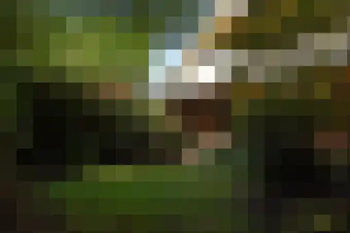 Schielandweg 14 Waddinxveen thumbnail 62