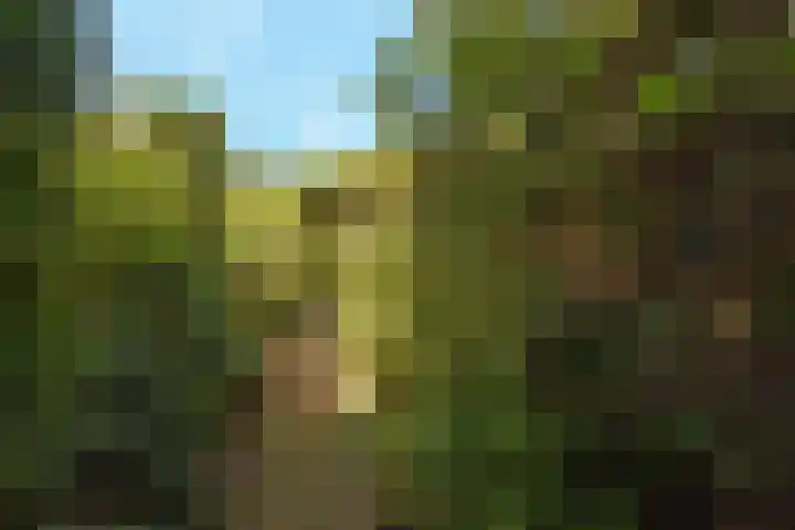 Schielandweg 14 Waddinxveen thumbnail 63