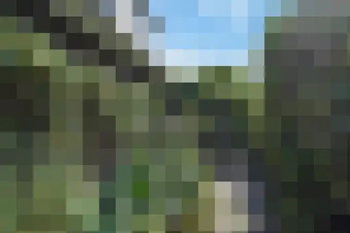 Schielandweg 14 Waddinxveen thumbnail 66