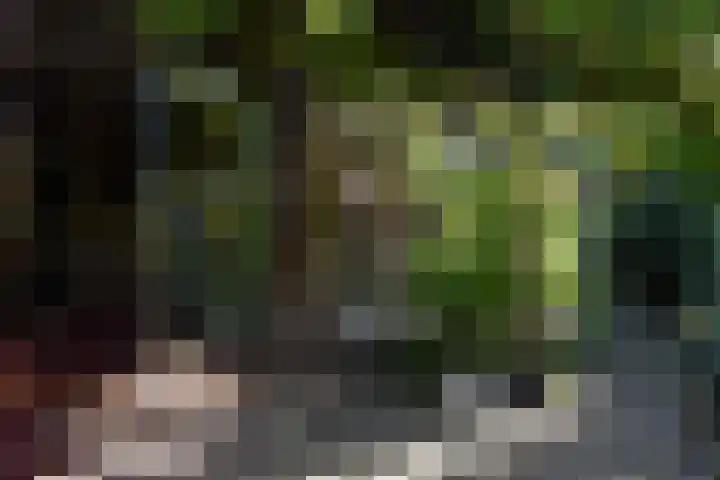 Schielandweg 14 Waddinxveen thumbnail 68