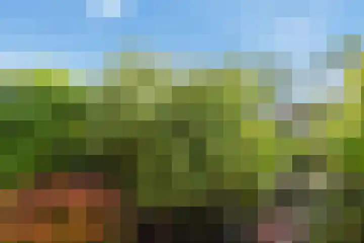 Schielandweg 14 Waddinxveen thumbnail 69