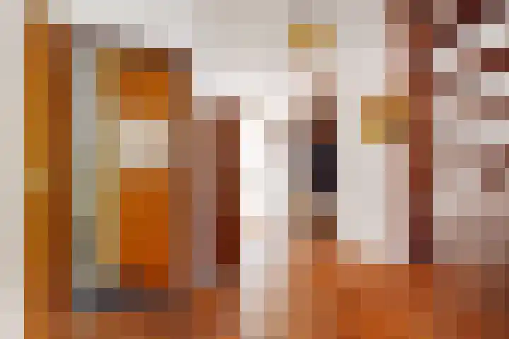 Schielandweg 14 Waddinxveen thumbnail 7