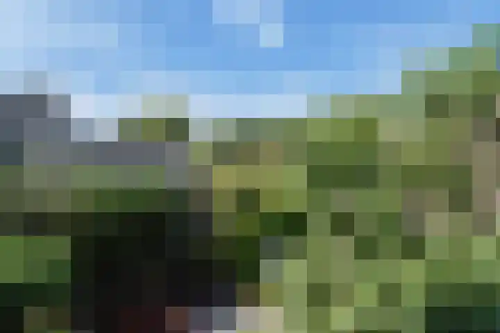 Schielandweg 14 Waddinxveen thumbnail 70