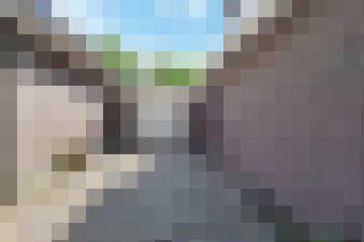 Schielandweg 14 Waddinxveen thumbnail 71