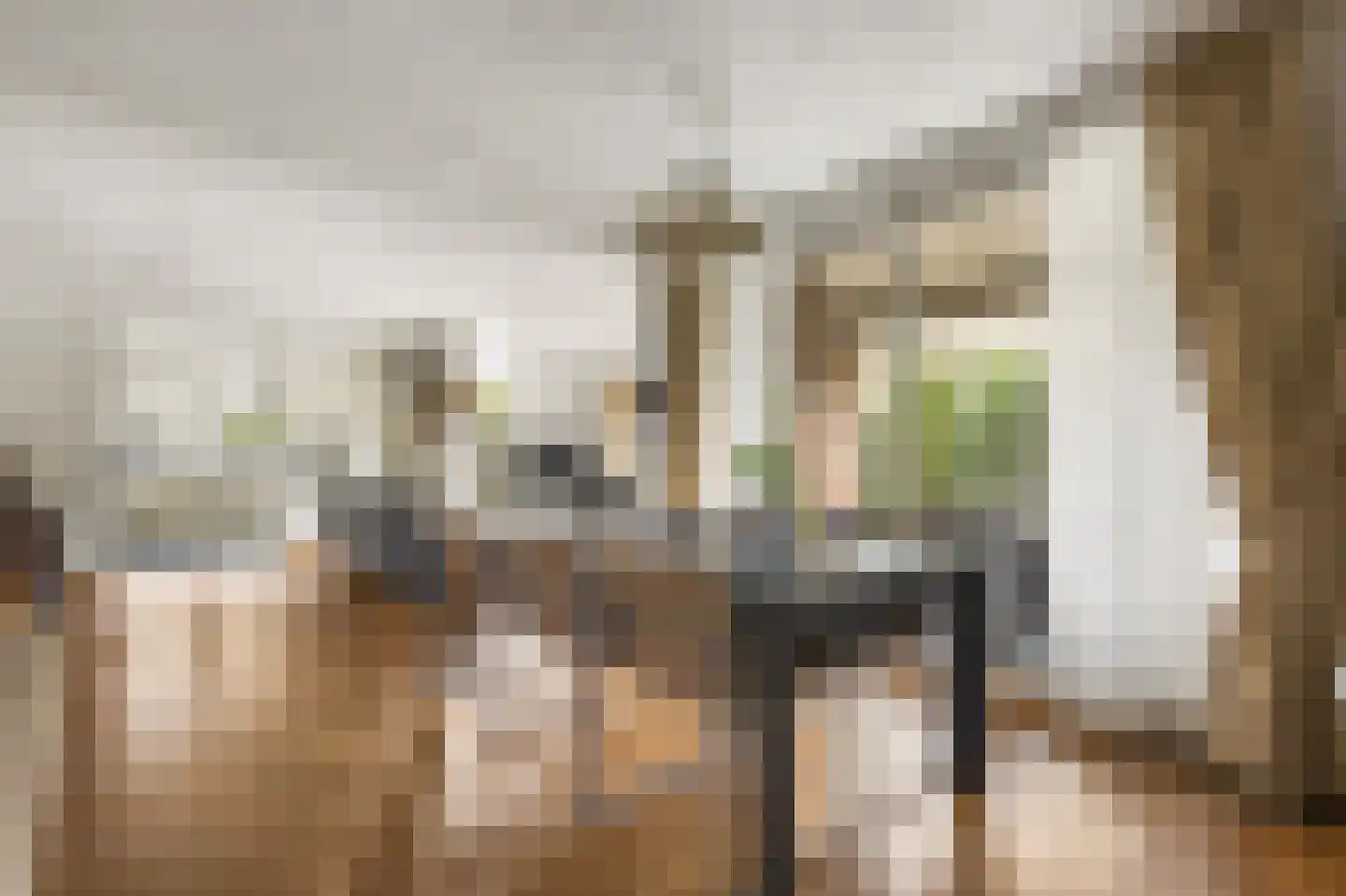 Schielandweg 20 Waddinxveen thumbnail 15