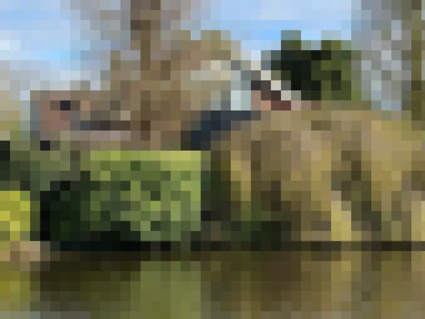 Schielandweg 20 Waddinxveen thumbnail 31