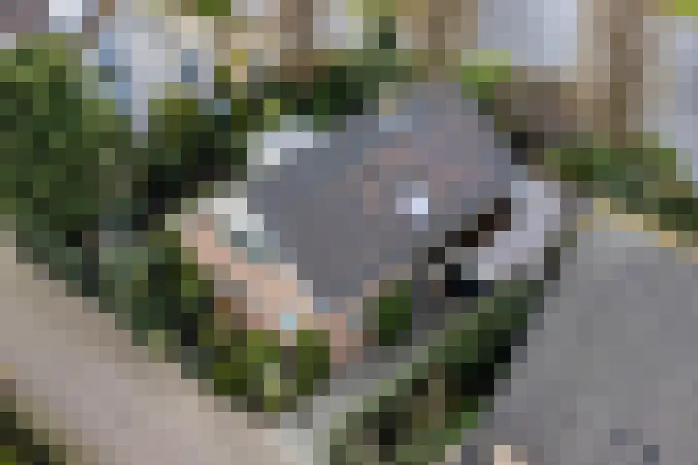 Schielandweg 20 Waddinxveen thumbnail 5