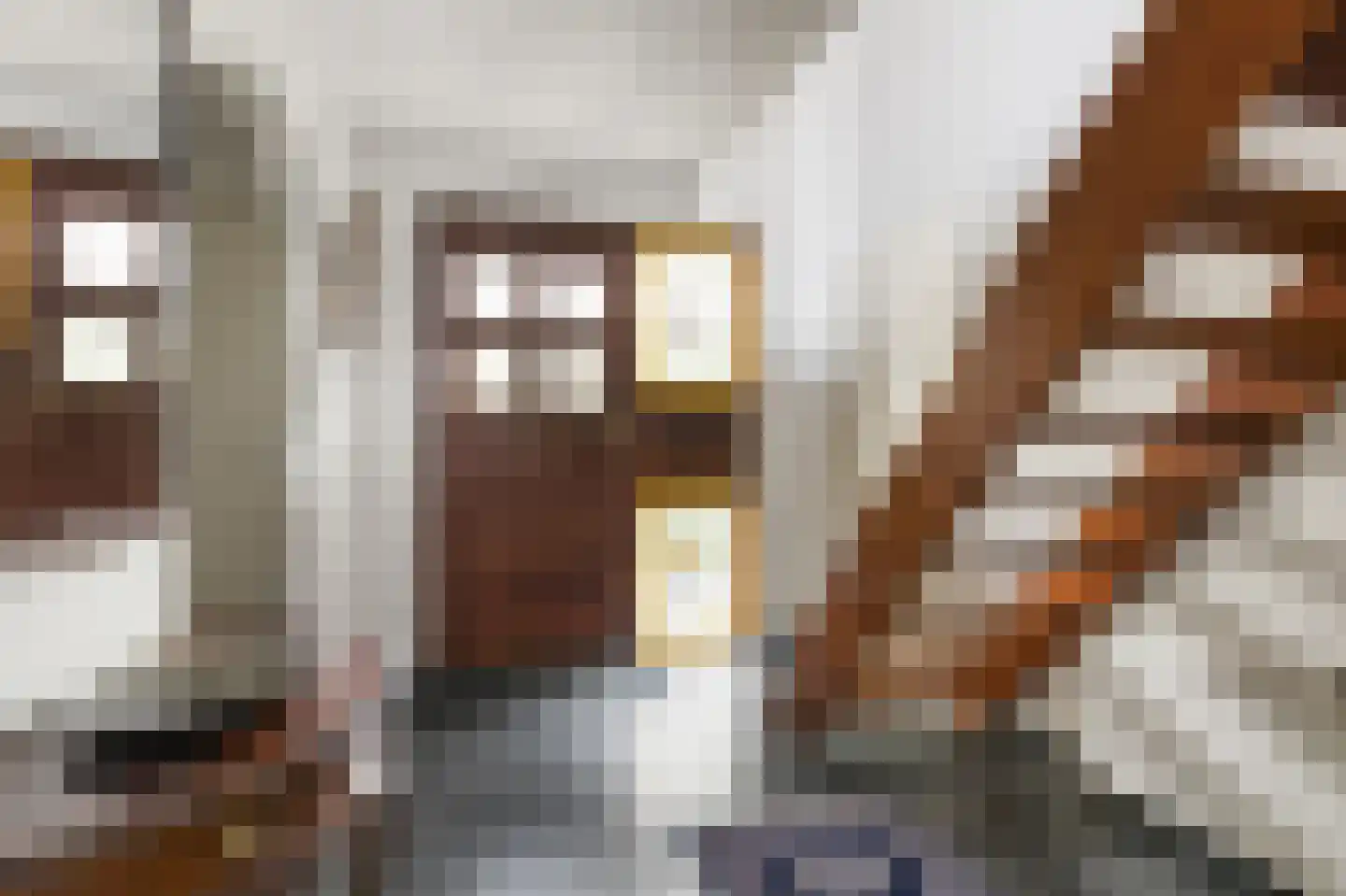Schielandweg 20 Waddinxveen thumbnail 8
