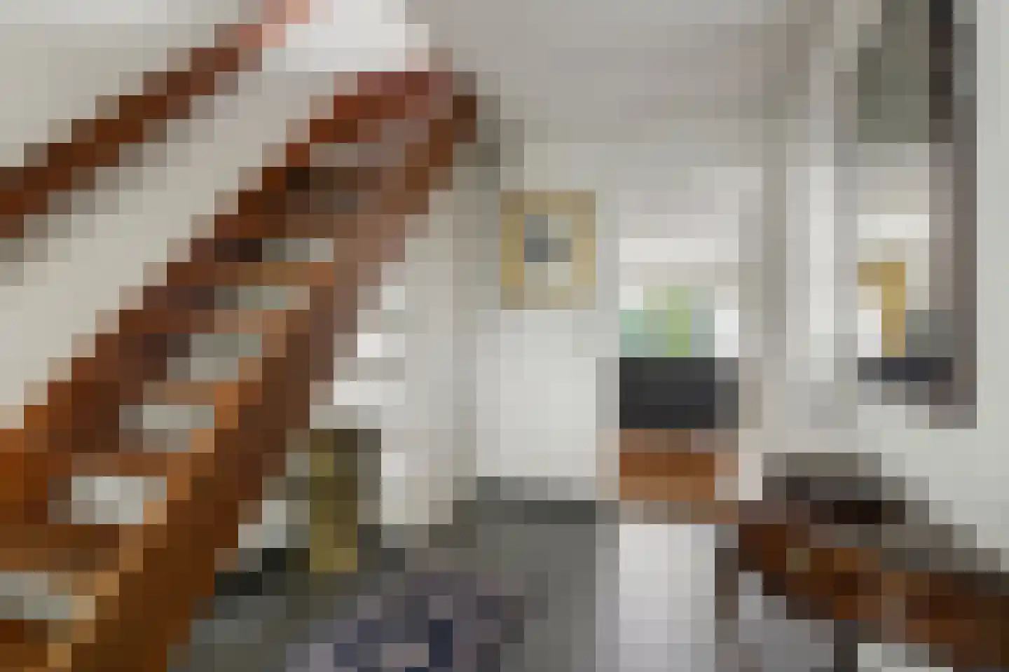 Schielandweg 20 Waddinxveen thumbnail 9
