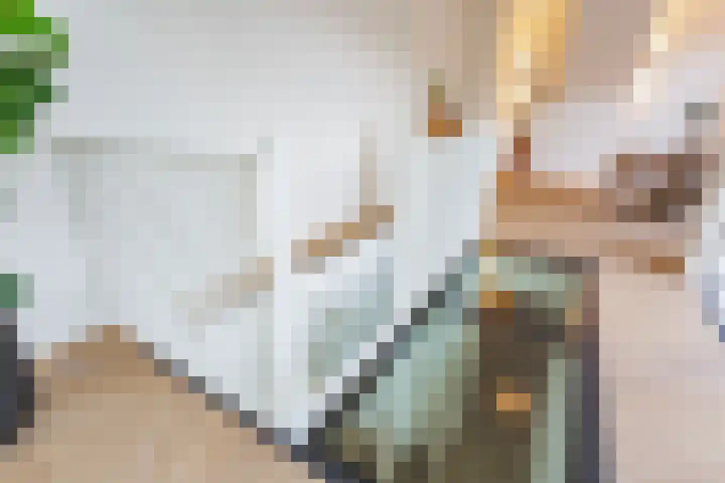 Schiemanstraat 10 Amsterdam thumbnail 15