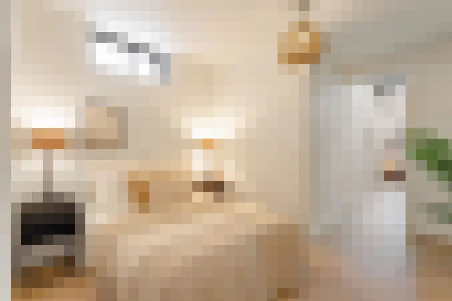 Schiemanstraat 10 Amsterdam thumbnail 24