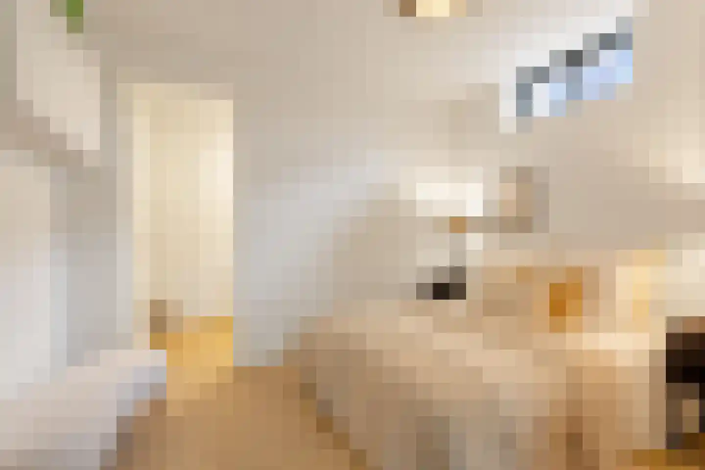 Schiemanstraat 10 Amsterdam thumbnail 26