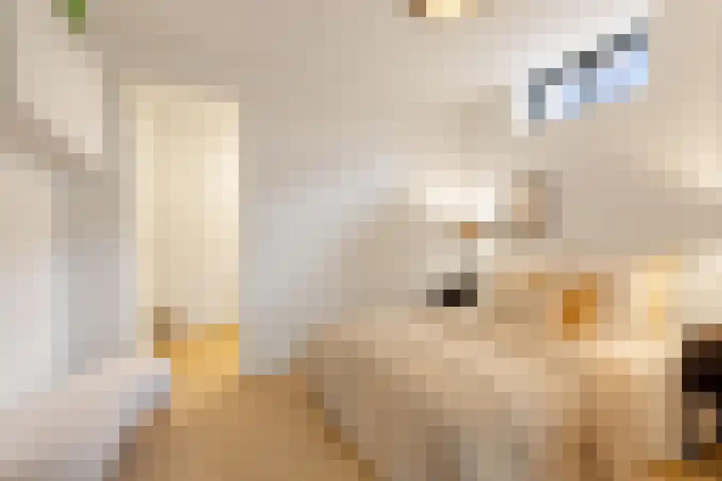 Schiemanstraat 10 Amsterdam thumbnail 26