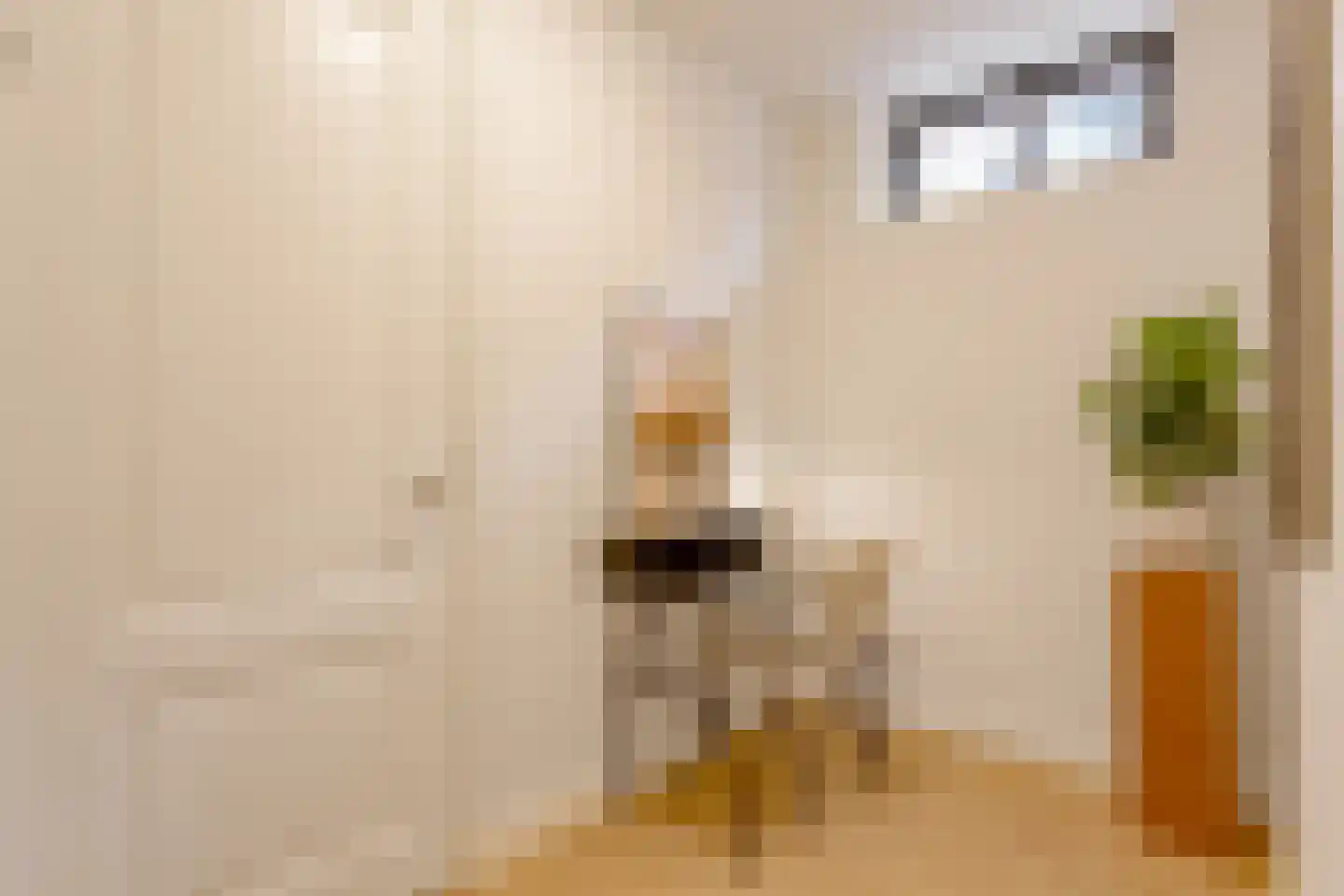 Schiemanstraat 10 Amsterdam thumbnail 27