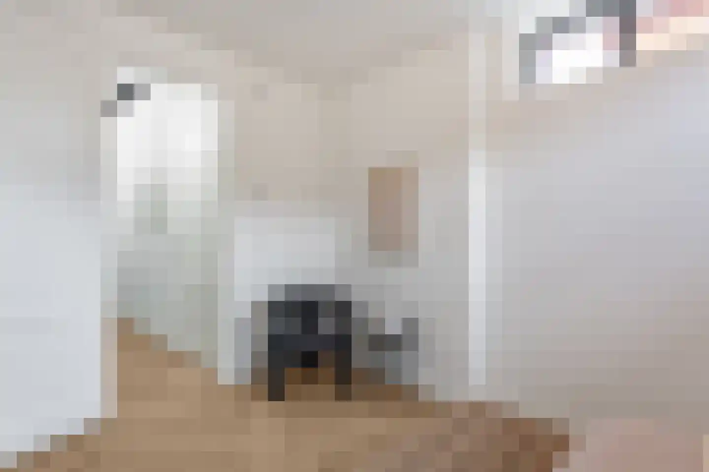 Schiemanstraat 10 Amsterdam thumbnail 32