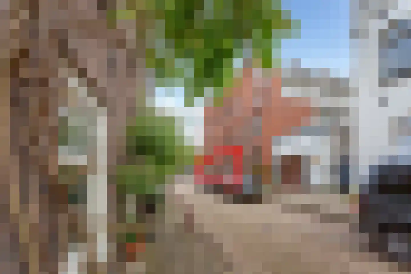 Schiemanstraat 10 Amsterdam thumbnail 53