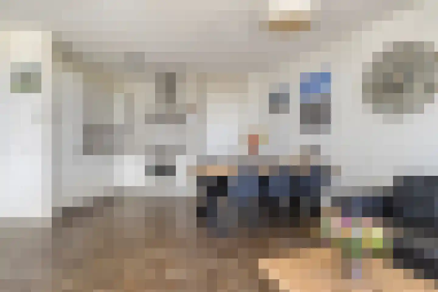 Schiereiland 1 Naaldwijk thumbnail 14