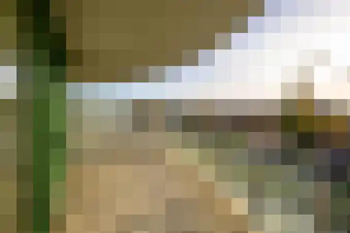 Schiereiland 11 Naaldwijk thumbnail 10