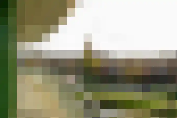 Schiereiland 11 Naaldwijk thumbnail 11