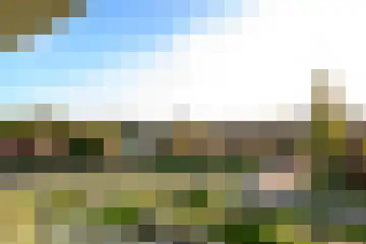 Schiereiland 11 Naaldwijk thumbnail 12