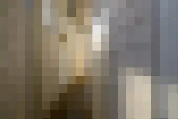 Schiereiland 11 Naaldwijk thumbnail 28