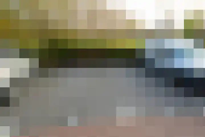 Schiereiland 11 Naaldwijk thumbnail 30
