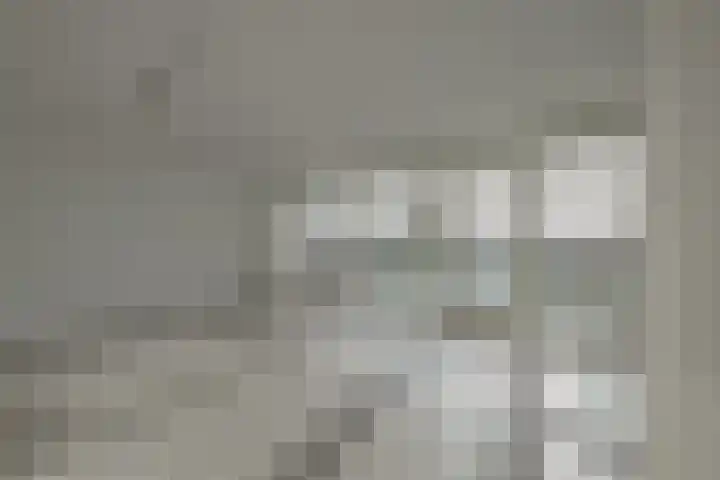 Schiereiland 11 Naaldwijk thumbnail 7