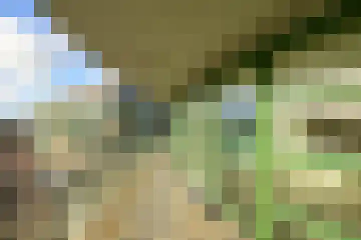 Schiereiland 11 Naaldwijk thumbnail 9