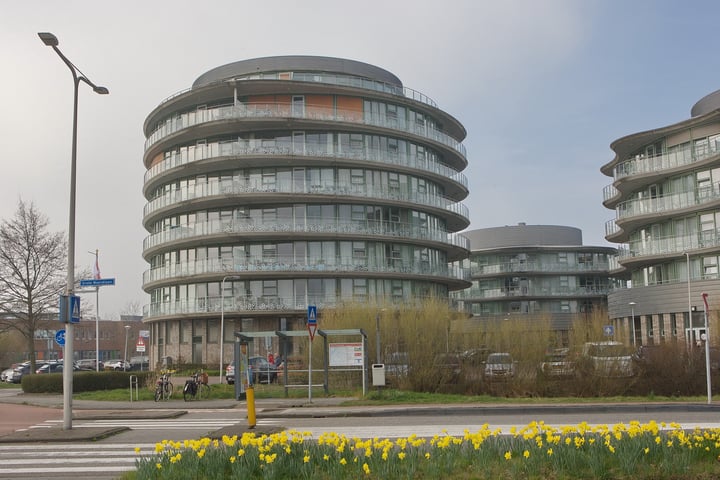 Schiereiland 14 en Naaldwijk foto