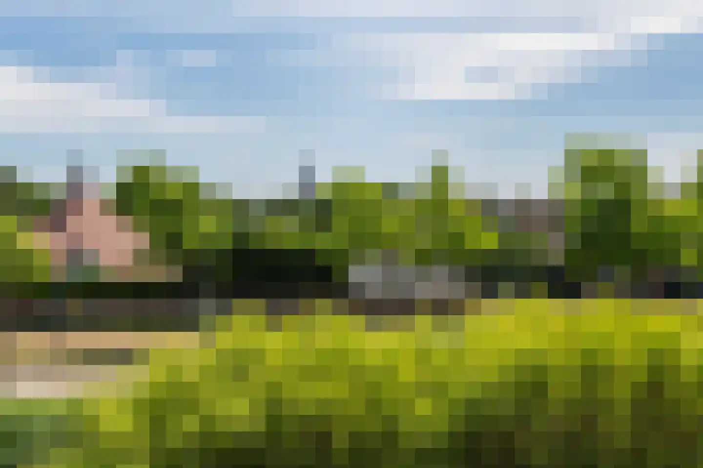 Schiereiland 3 Naaldwijk thumbnail 13