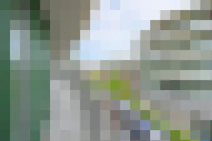 Schiereiland 7 Naaldwijk thumbnail 24
