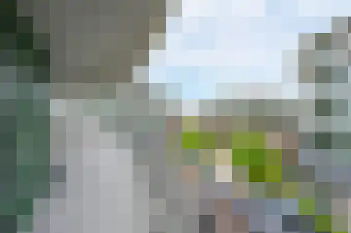 Schiereiland 7 Naaldwijk thumbnail 25