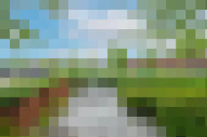 Schiereiland 7 Naaldwijk thumbnail 27