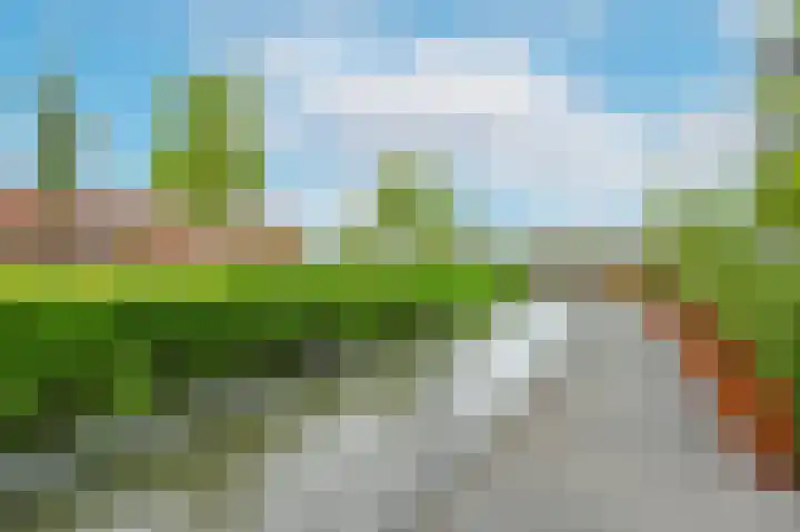 Schiereiland 7 Naaldwijk thumbnail 28