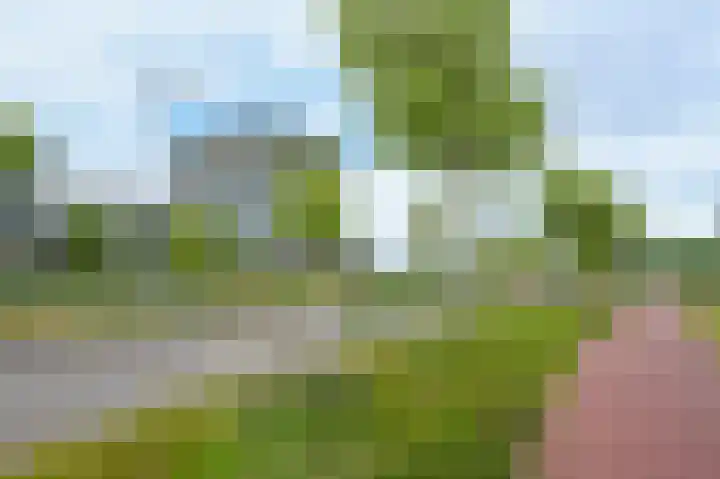 Schiereiland 7 Naaldwijk thumbnail 29